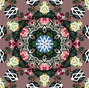 Early kaleidoscope videos