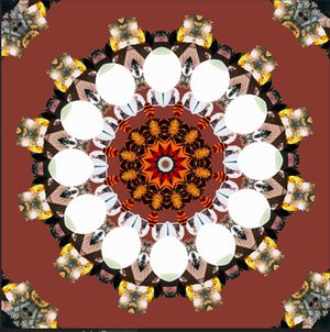 What is this blog about?