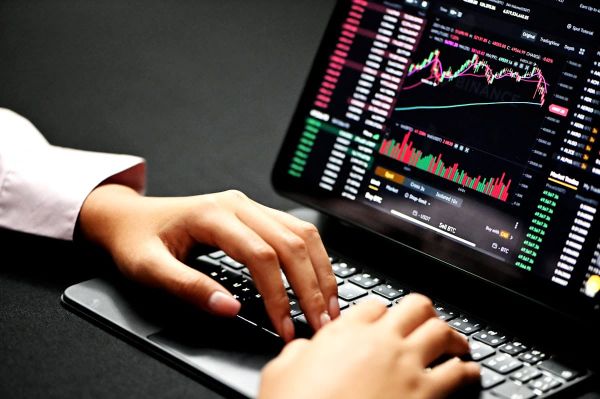 What Is a Balanced Fund and Who Should Use One