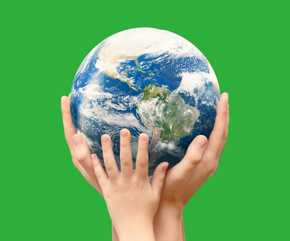 Thank You for Helping Our Work Travel Further