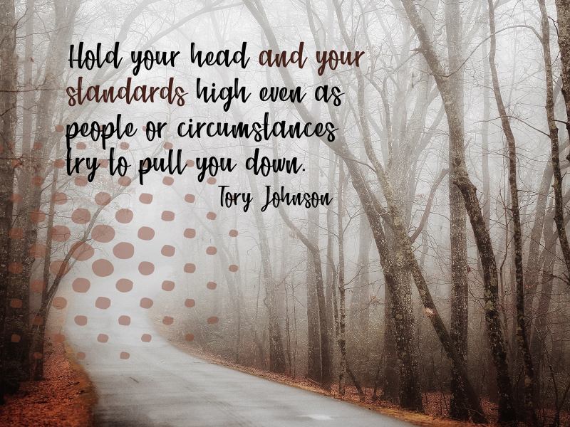 2456-Johnson-800x600