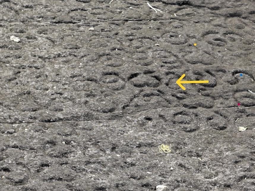 Figure 1: Stone Inscriptions of Lankatillake Viharaya in Kandy from the Gampola Period (14th century). Commissioned by King Bhuvanekabahu IV, it is renowned for its striking architectural fusion of Sinhalese, Tamil, and Indo-Chinese styles, blending a traditional Gedige structure with integrated Hindu shrines. The language used in these inscriptions clearly includes Sinhala letters (Yellow arrow) suggesting that it was an early version of Sinhala from that Time period.