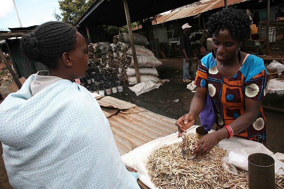 Figure 4: HIV prevention/treatment programs were outsourced to external agencies such as USAID in many African countries such as Uganda and Kenya. (Source: Wikimedia Commons).