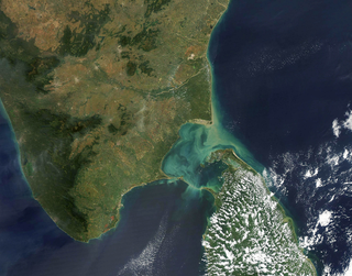 The Tamil Nadu Illusion: What Sri Lankan Tamils Must Understand