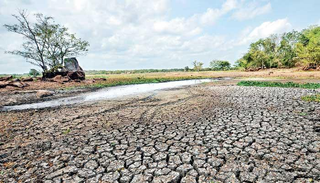 As El Niño Builds, Sri Lanka’s North Faces Heat, Water Stress and the Risk of Floods