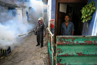 Sri Lanka Knows How to Fight Dengue. So Why Is the Government Still Losing?