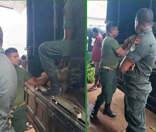 Video of Military-Harvested Vegetables Fuels Anger Over Jaffna Land Occupation