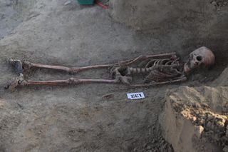 Chemmani Excavation Stops Today With 582 Sets of Human Remains Identified