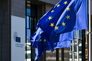 EU Sets Reform Terms as Sri Lanka Faces Fresh Application for Trade Preferences