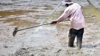 Sri Lanka Braces for a Powerful El Niño as Reservoirs Run Low