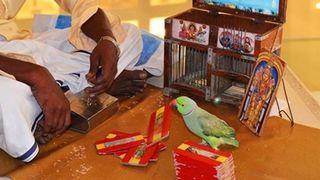 ‘Astrology Ritual’ Turns Into Blackmail for Sri Lankan Tamil Canadian Woman in Chennai