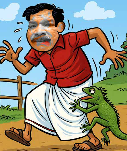 NPP’s Garden Lizard Lesson in Northern Politics