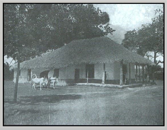 From Philanthropy to Academia: The Evolution of Jaffna Teaching Hospital and Its Medical Institutions