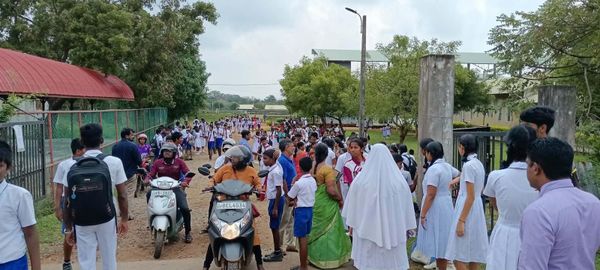 Over 50 Students, Teachers Injured in Wasp Attack at Kilinochchi School Despite Prior Warning