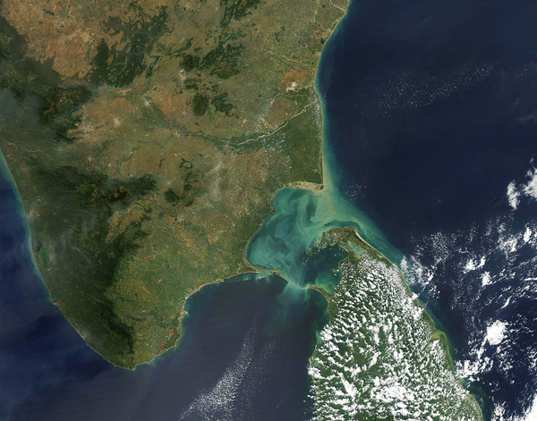 The Tamil Nadu Illusion: What Sri Lankan Tamils Must Understand