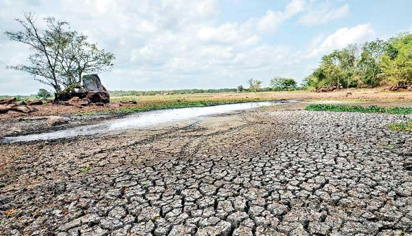 As El Niño Builds, Sri Lanka’s North Faces Heat, Water Stress and the Risk of Floods
