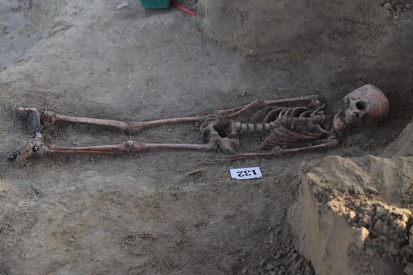 Chemmani Excavation Stops Today With 582 Sets of Human Remains Identified