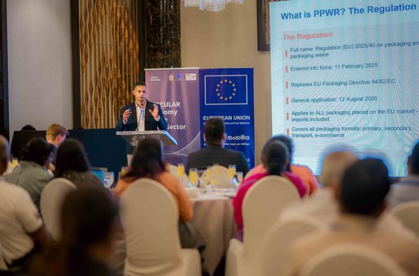 New E.U. Packaging Rules Now Apply to Sri Lankan Exports