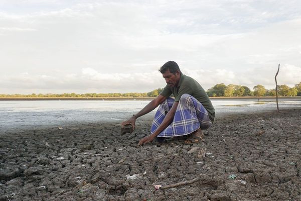 Will the Rains Fail in Jaffna? Two Forecasts Point in Opposite Directions