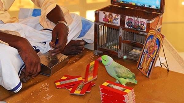 ‘Astrology Ritual’ Turns Into Blackmail for Sri Lankan Tamil Canadian Woman in Chennai