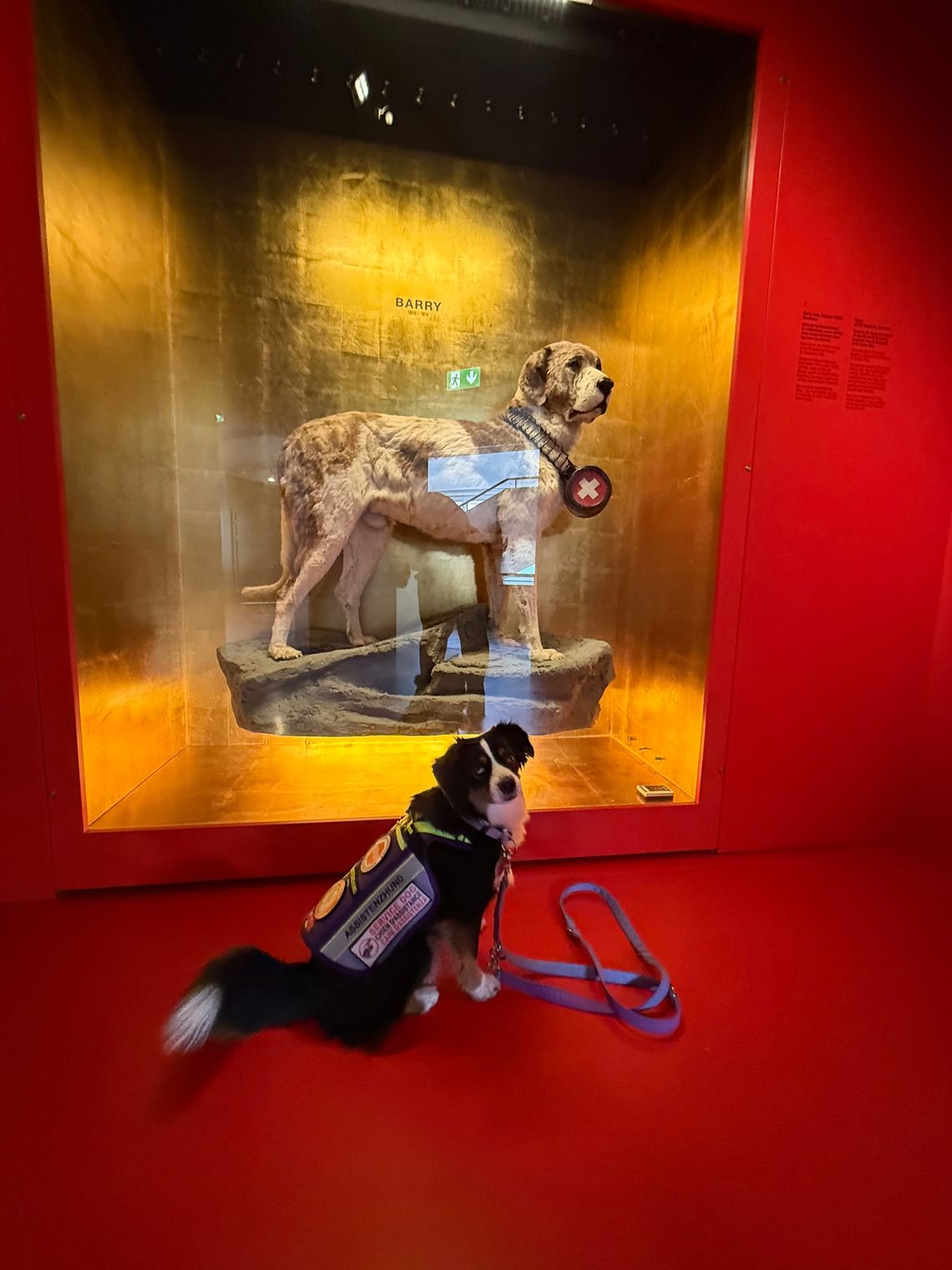 Unser Besuch im Naturhistorischen Museum Bern