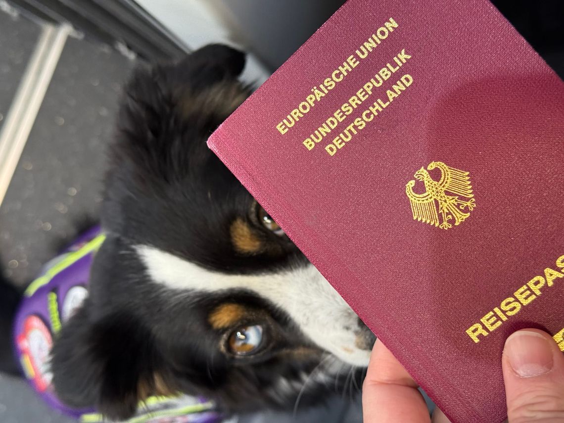 Assistenzhund im Einsatz: Unser Termin in der Deutschen Botschaft