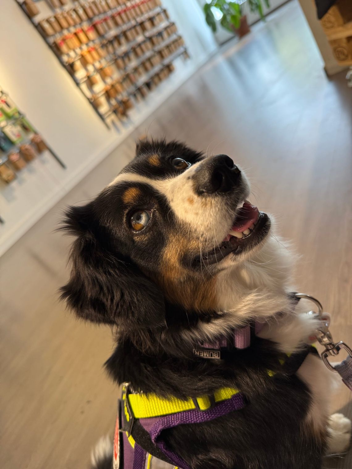 Sollte man die eigene Diagnose auf die Kenndecke schreiben – oder lieber nicht?