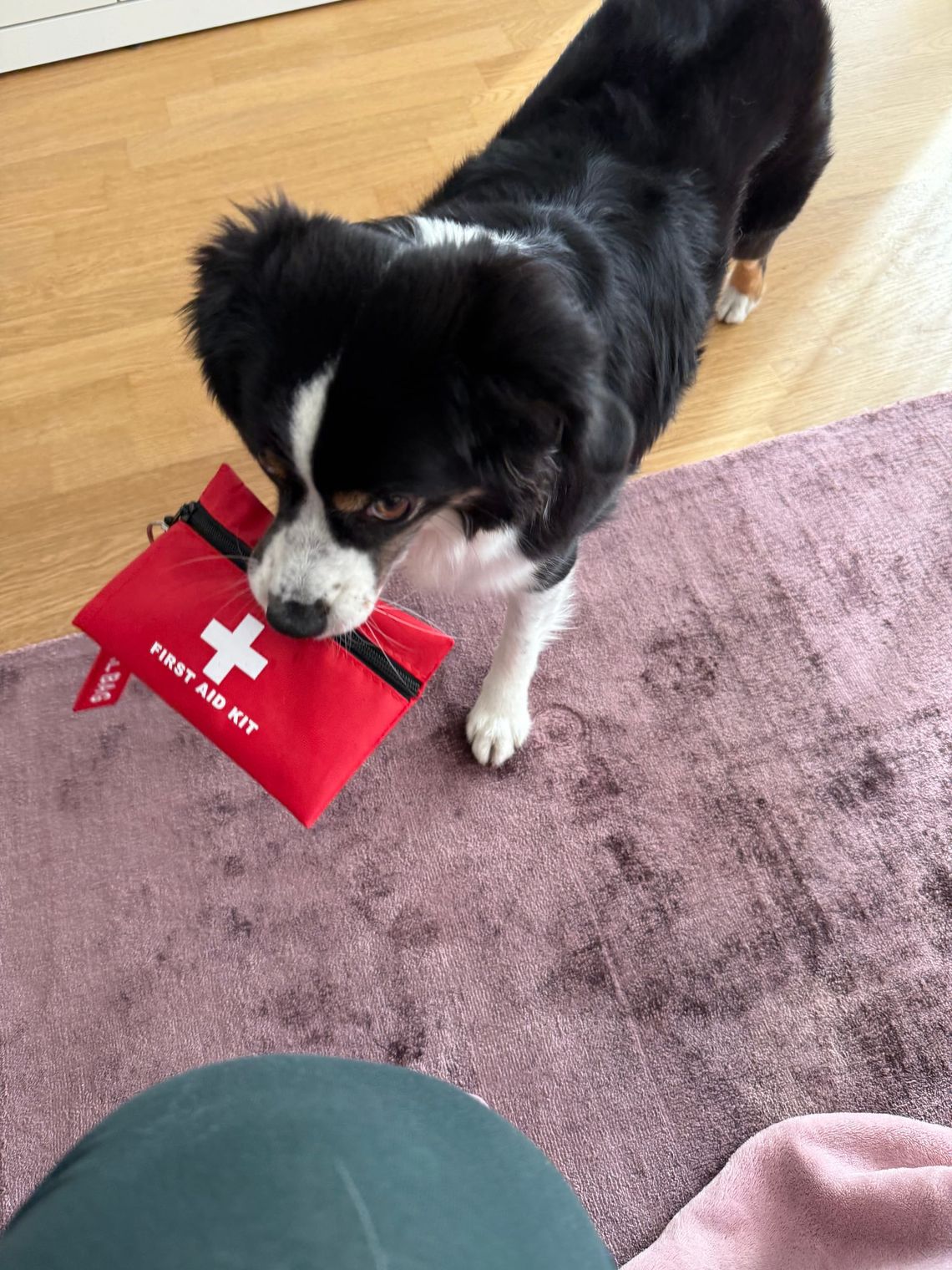 Welches Notfallmedikament nimmst du?