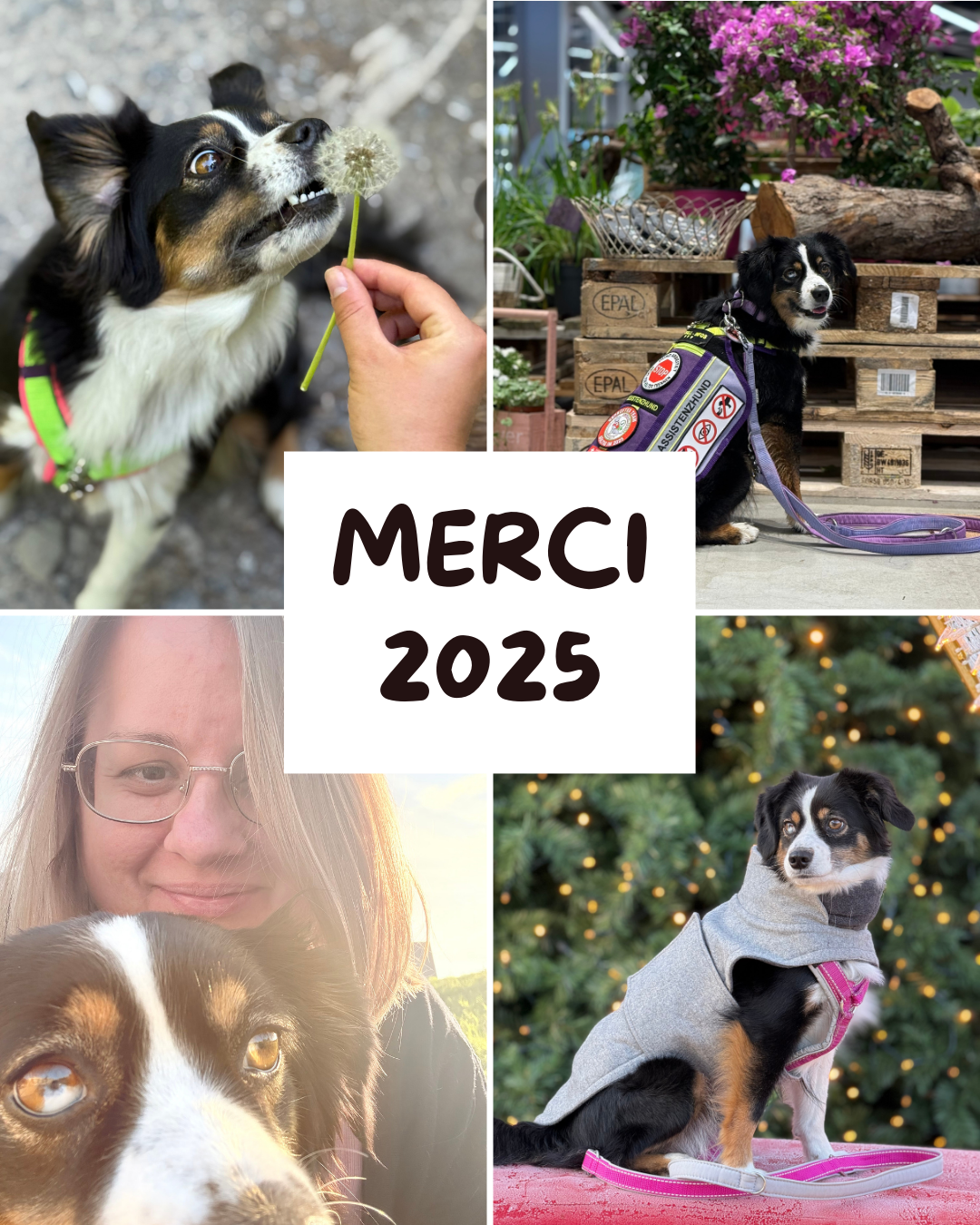 Merci 2025