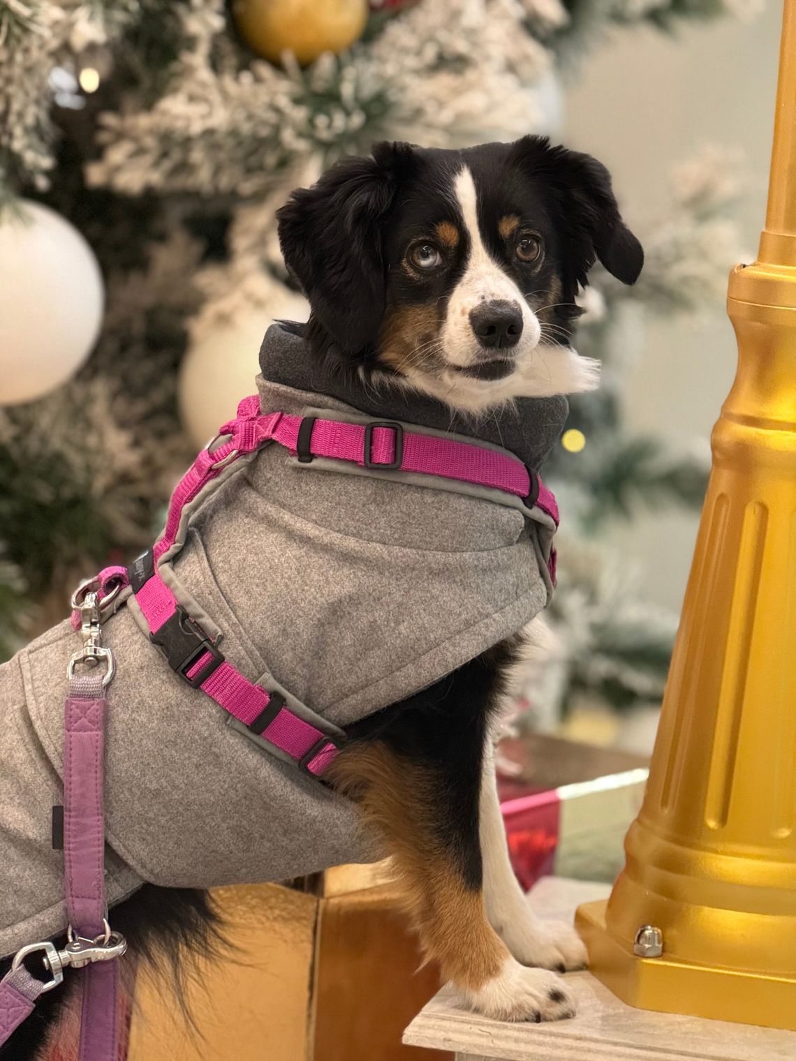 🎄 Frohe Weihnachten von uns – ungeplant aus dem Hotel