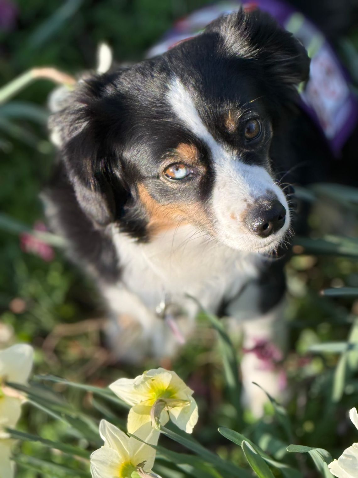 Noch ist sie nicht fertig… aber sie könnte unseren Alltag verändern.
