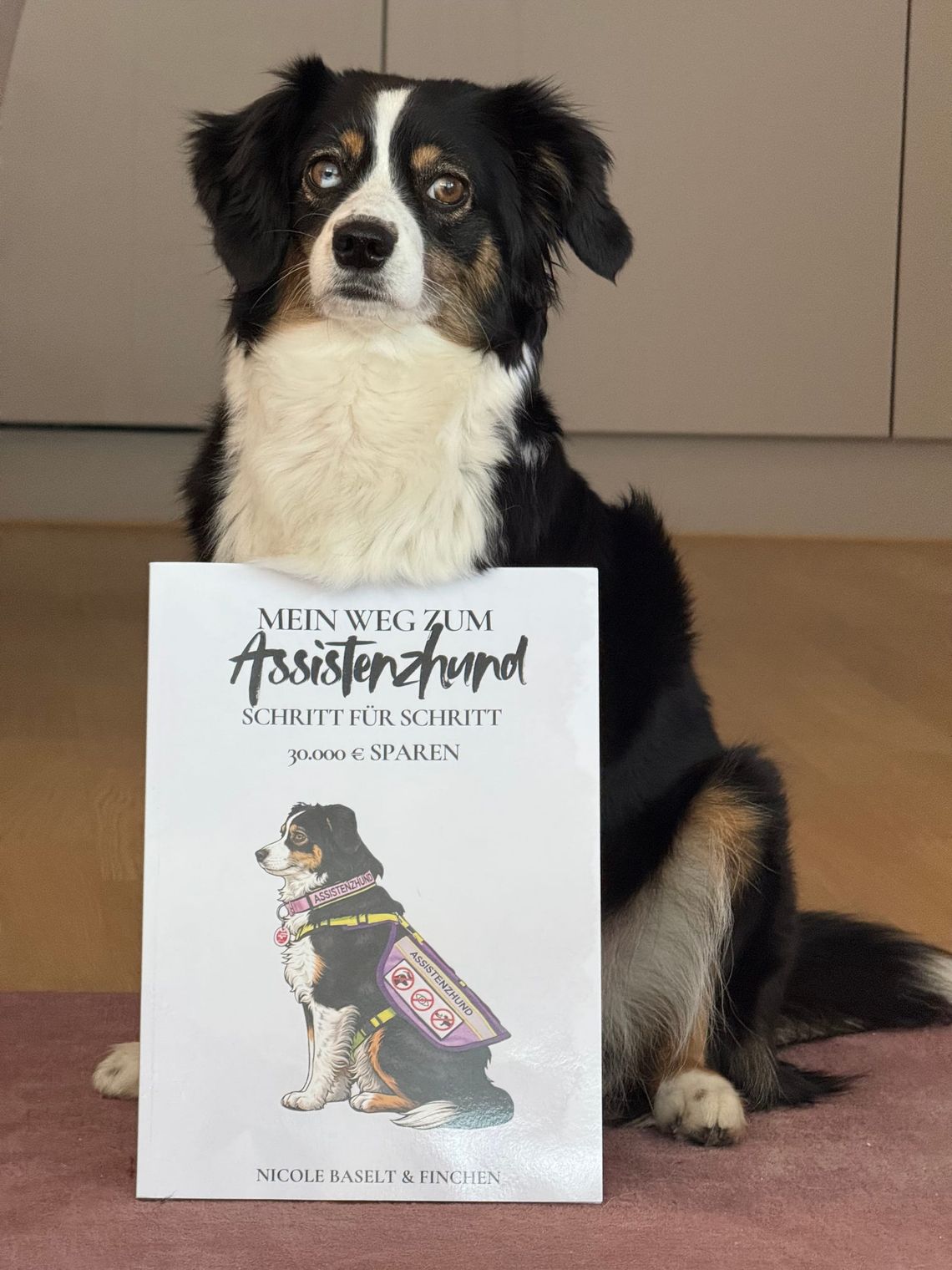 Endlich da: Unser Sparbuch für dein grösstes Abenteuer auf 4 Pfoten!