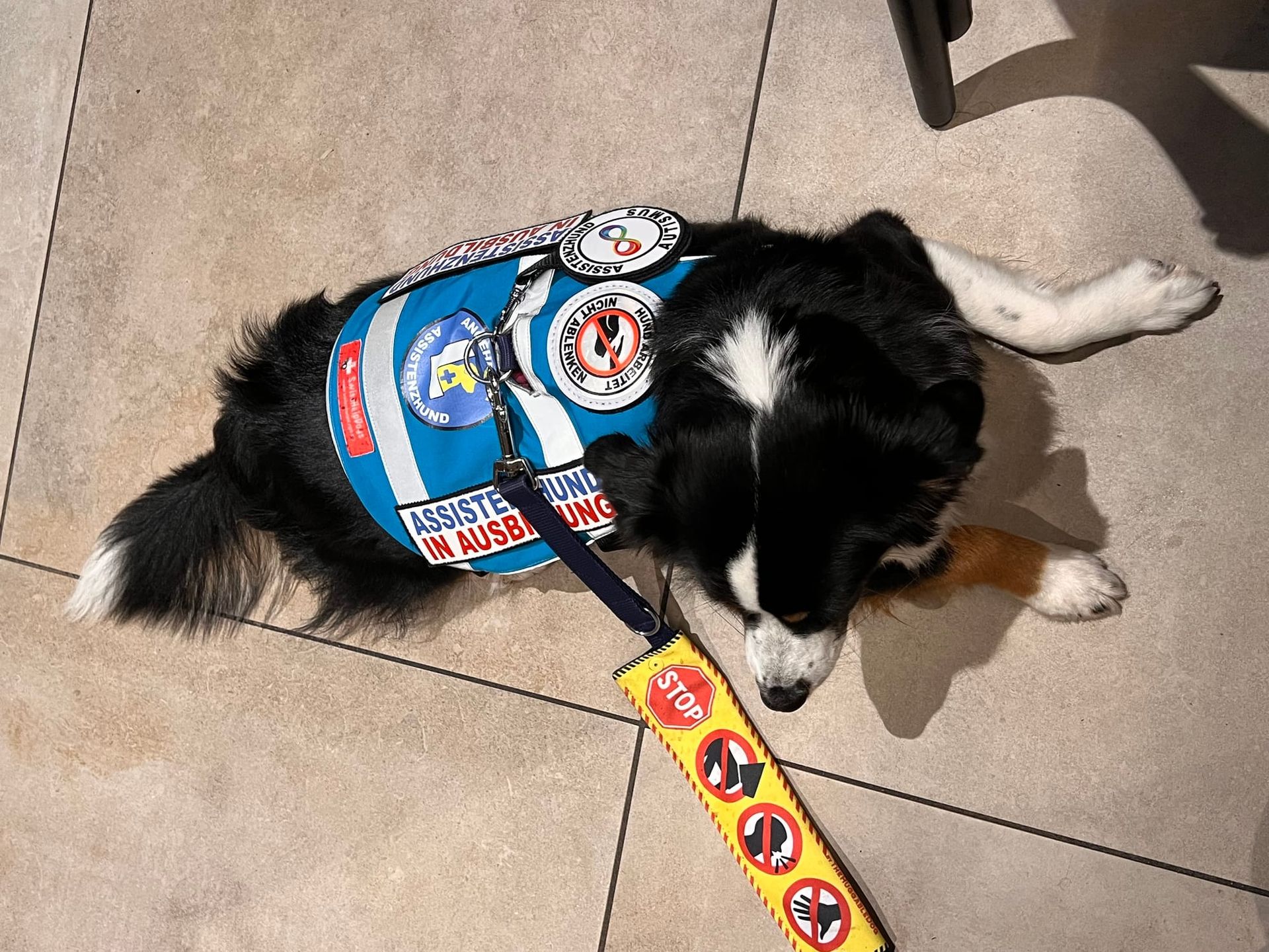 STOP ✋ - NICHT ABLENKEN!