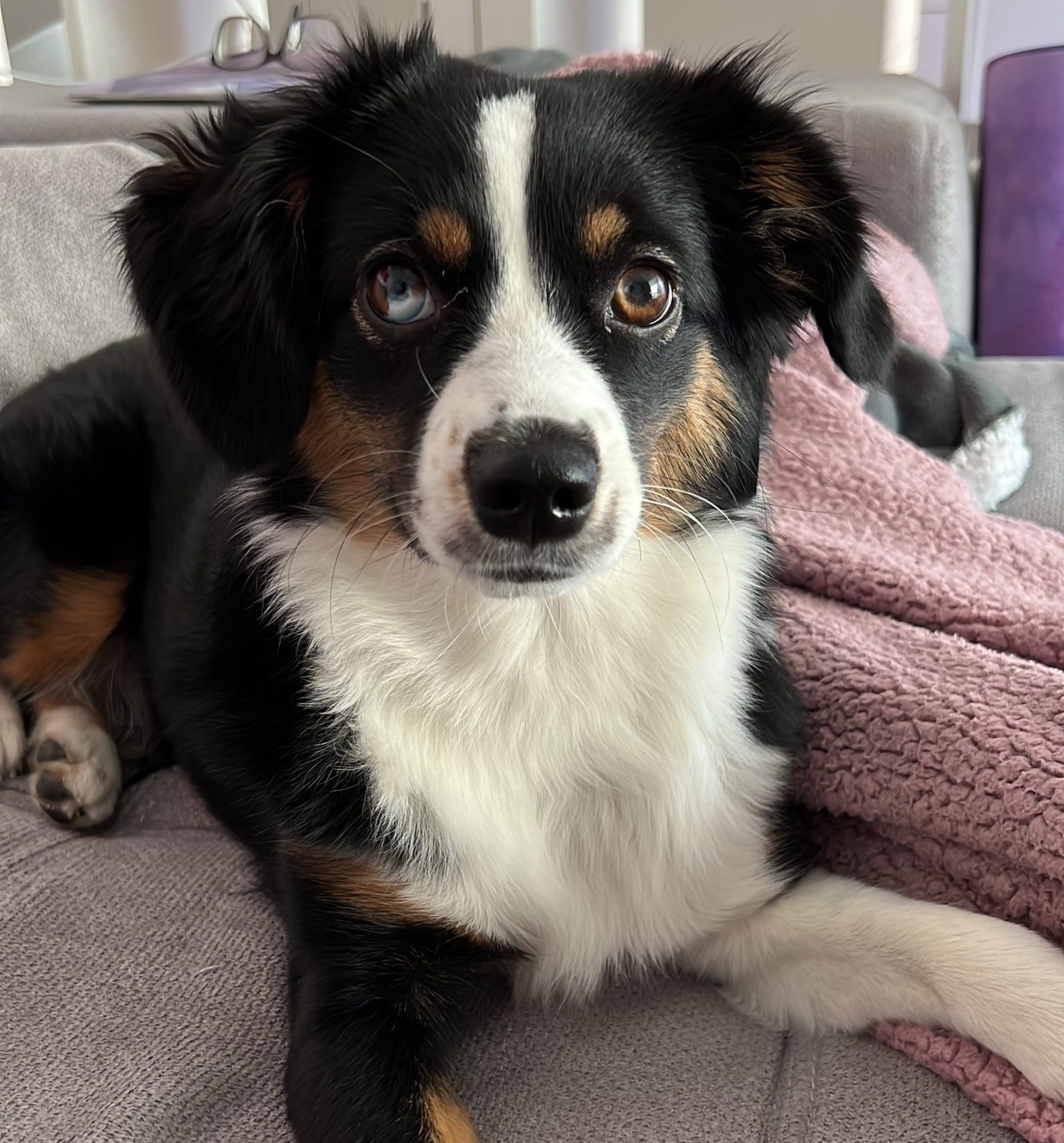 Die einfachsten Leckerli für Käse Freaks 🧀