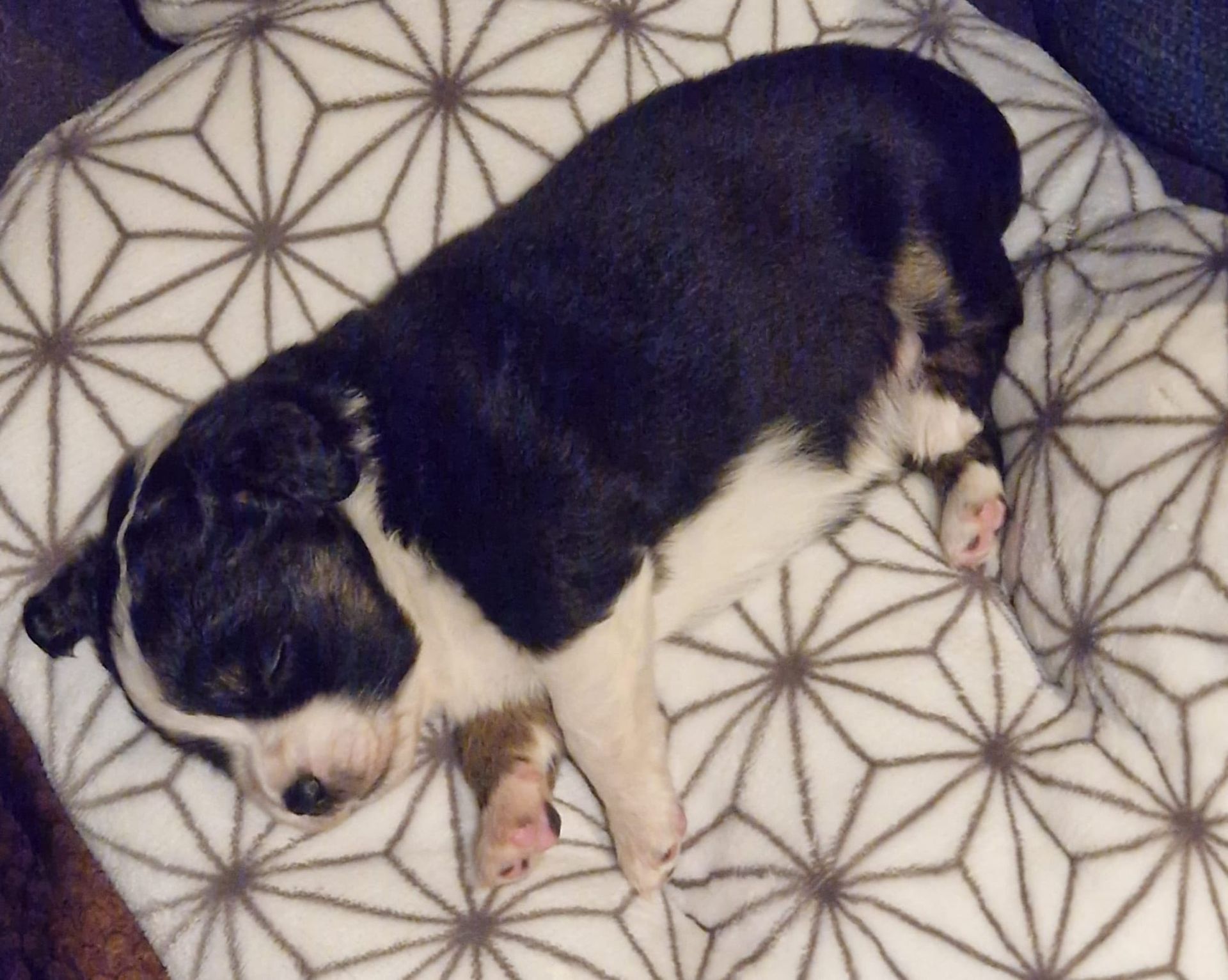 Throwback - Das erste Mal Finchen auf dem Arm