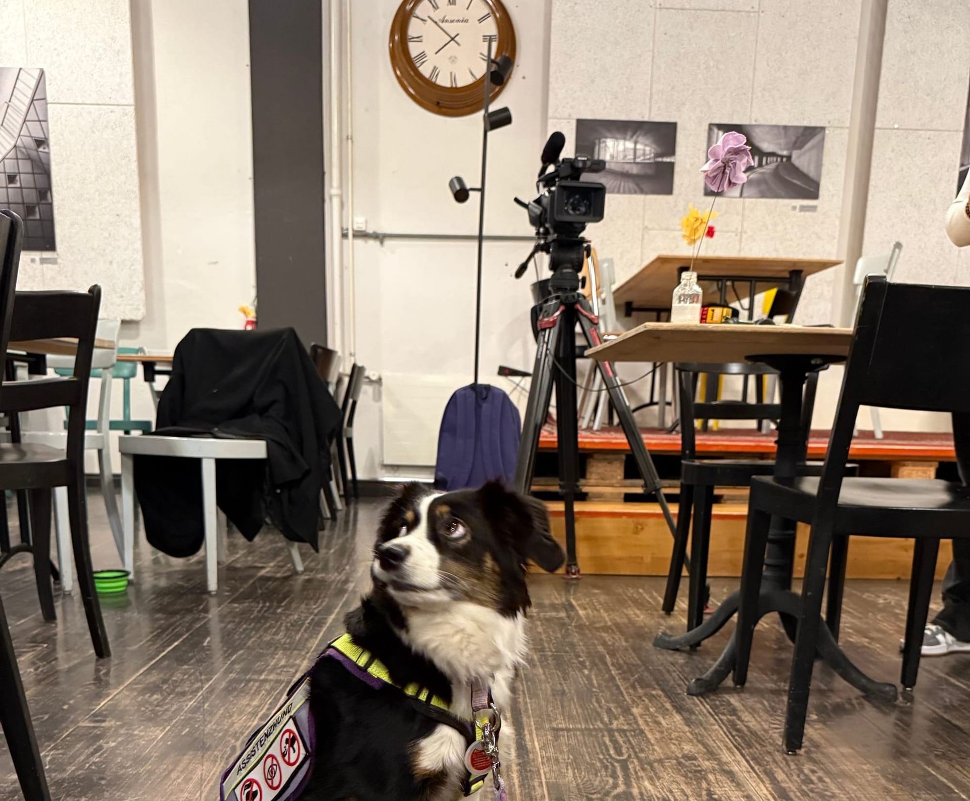 Wir standen vor der Kamera und wir sind ab jetzt im Dunkeln sichtbar!