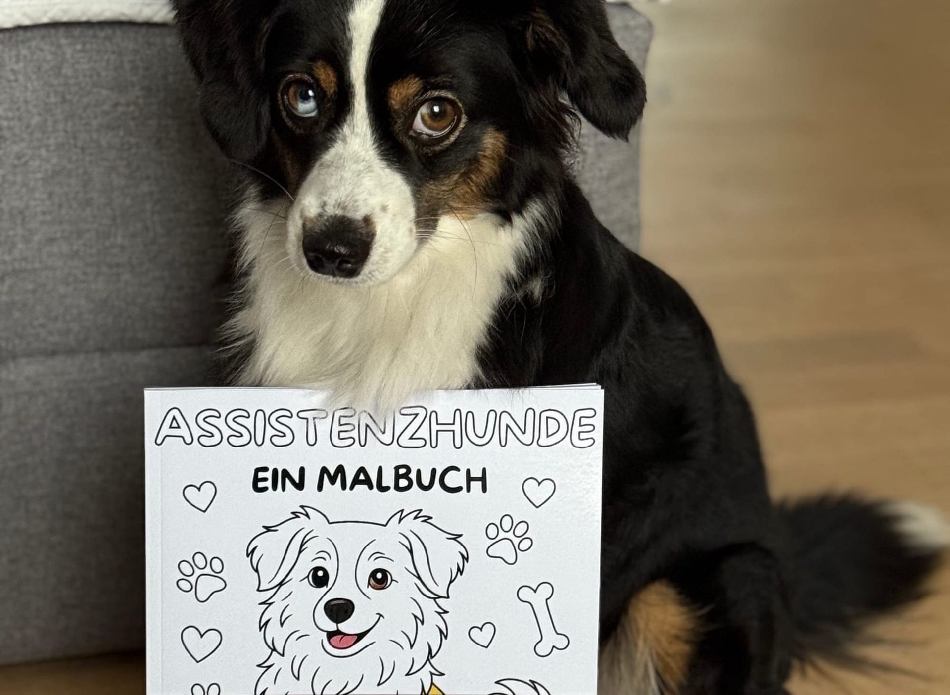 Assistenzhunde zum Ausmalen – Unser erstes Malbuch ist da! 🎨🐾