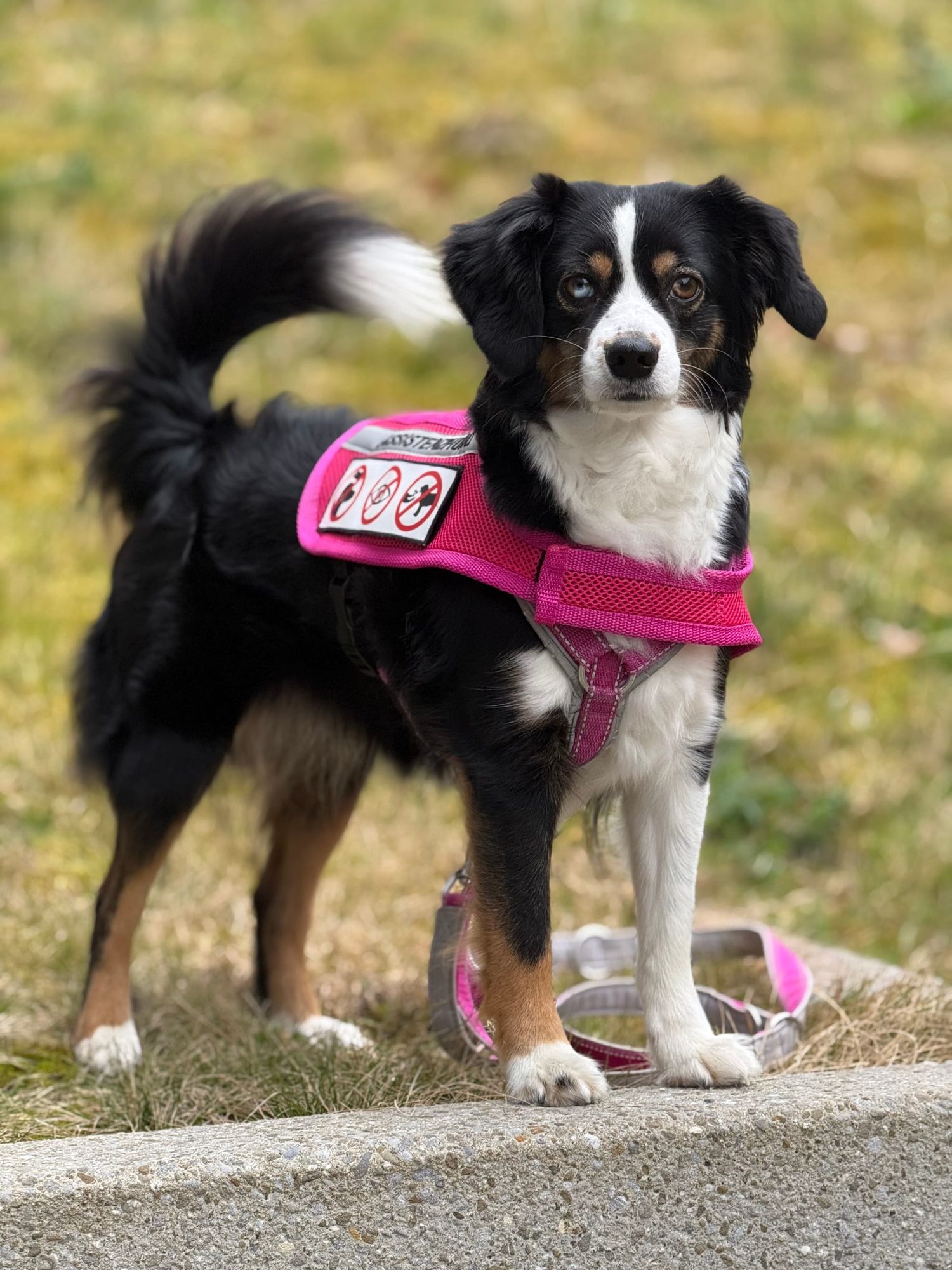 Ein guter Stop-Ruf ist eine Lebensversicherung.