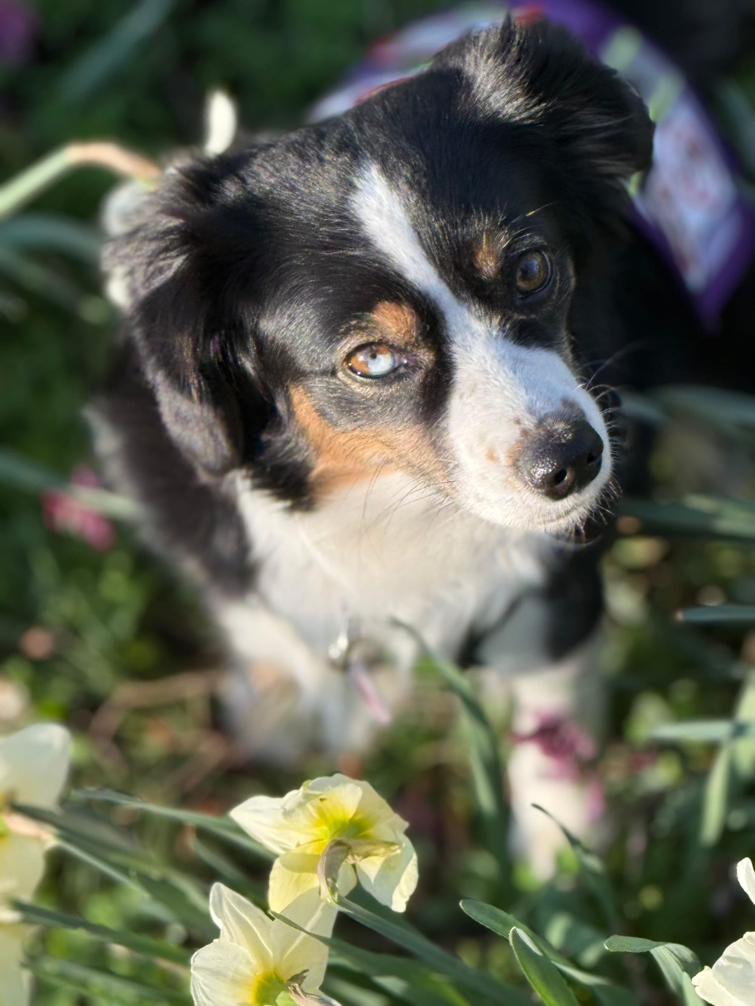 Noch ist sie nicht fertig… aber sie könnte unseren Alltag verändern.