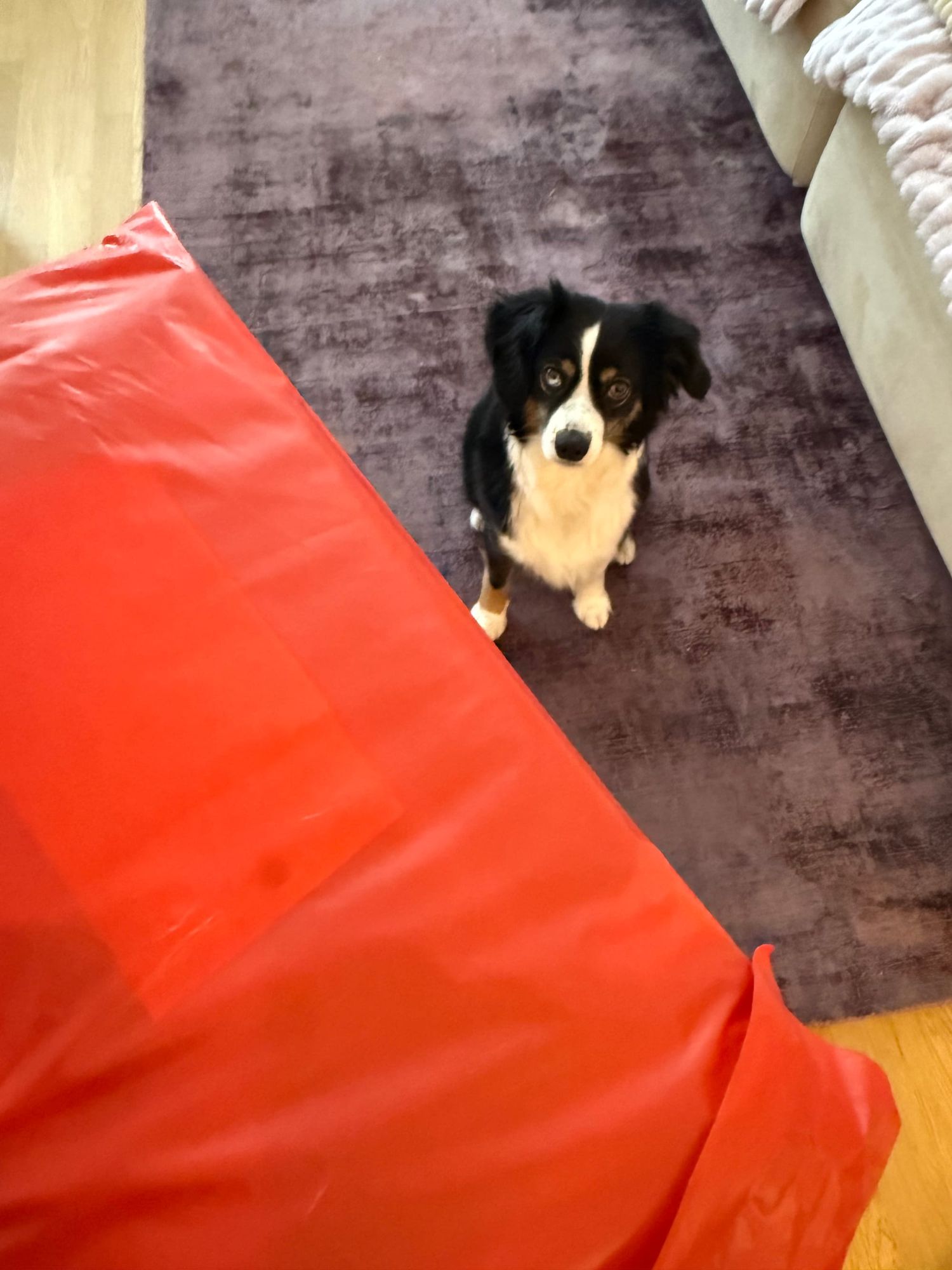 Neon, auffällig – und genau richtig: Unsere neue Kenndecke ist da..