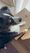 Wenn dein Hund mehr Zeug hat als du selbst…