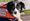 Mit Assistenzhund in einer fremden Stadt unterwegs ohne die Sprache zu sprechen
