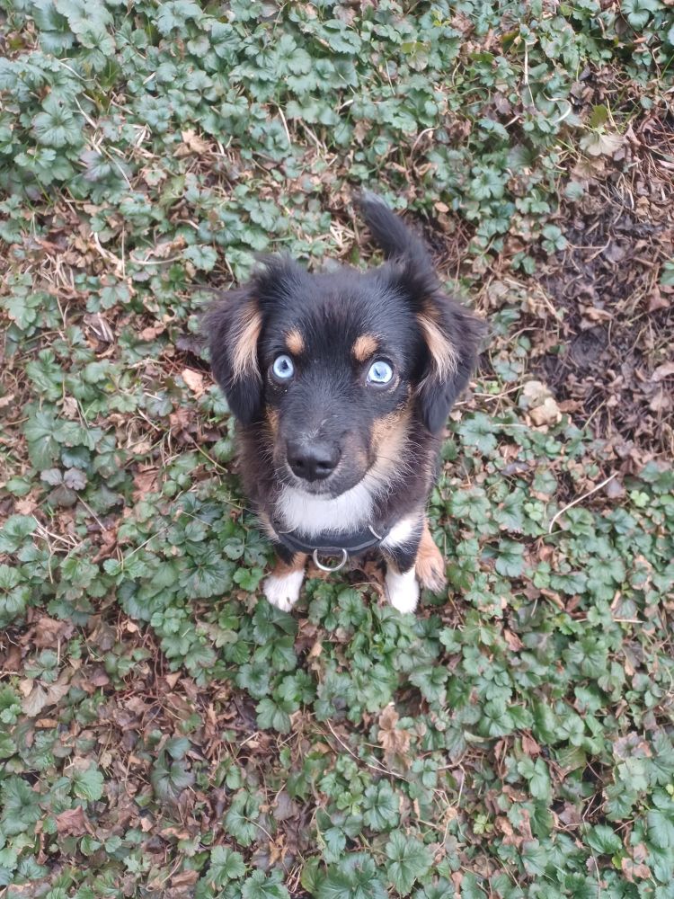 Schwester Kalia
