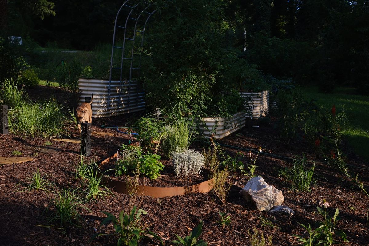 Garden Activity Log 01 : September 2025