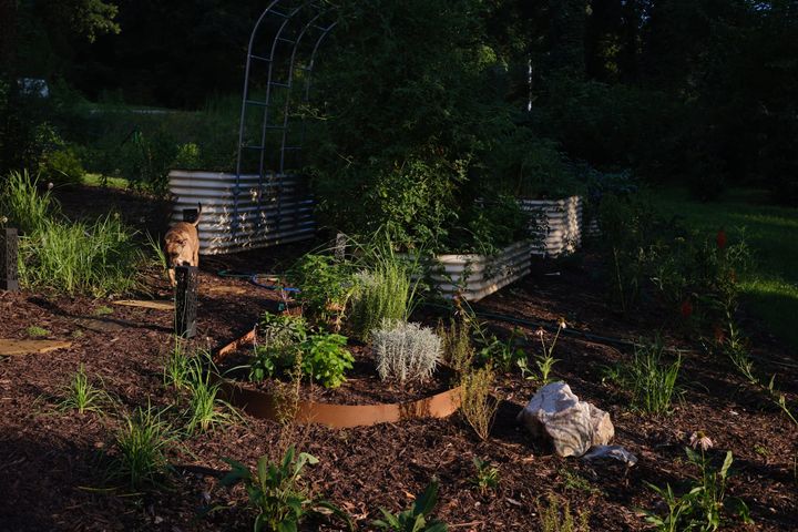 Garden Activity Log 01 : September 2025