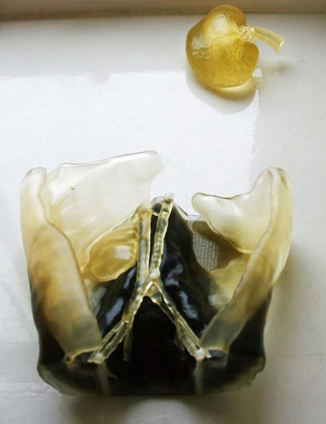 2529_main3-760x990.jpg 2529_main3-760x990.jpg