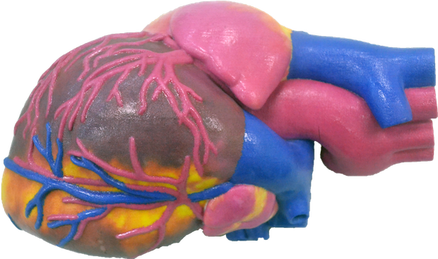 3d-printed-heart_.png 3d-printed-heart_.png