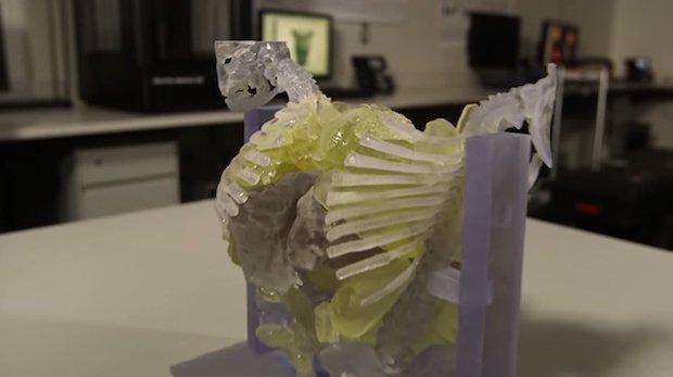3dpheartmodel.png