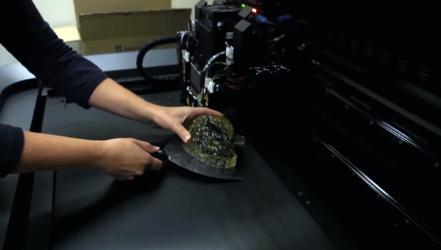 The brain printed on an Objet Connex