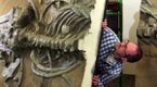 Dr-Pyenson-and-the-finished-3D-Print